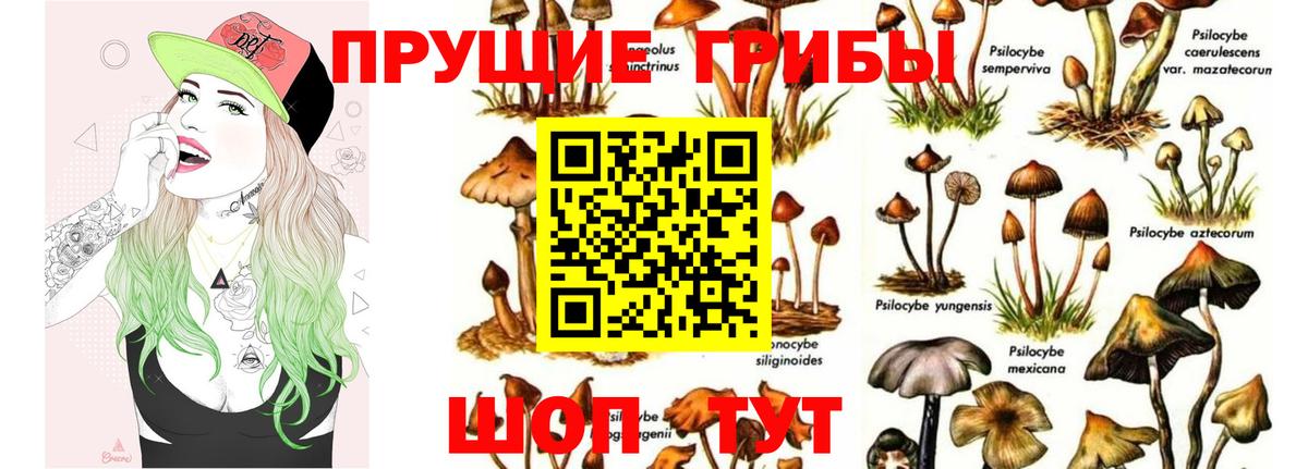 Галлюциногенные грибы мухоморы Ноябрьск